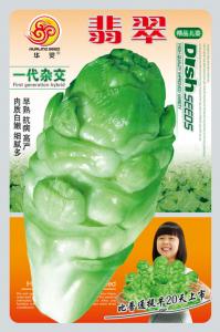 翡翠