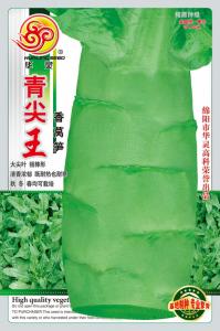 青尖王