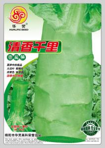 清香千里
