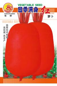 四季满身红萝卜