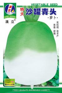 特大沙冠青头