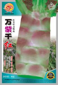 万紫千红