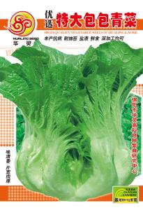 特大包包青菜